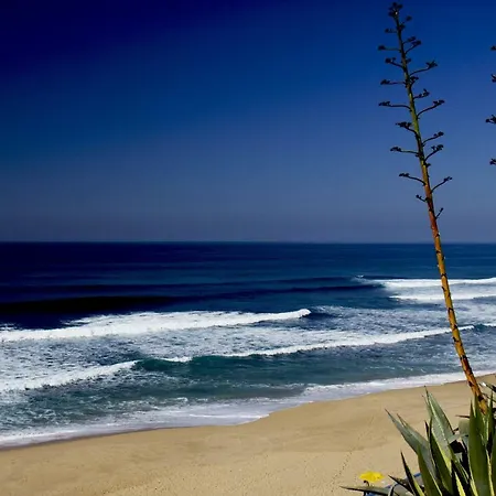 Gig * Ericeira